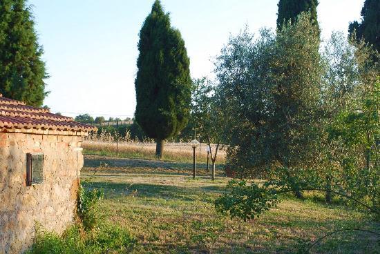 Casale  in  Affitto  a Pienza    100 mq  foto 4