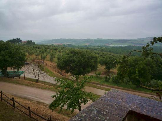 In appartamento in  Affitto  a Città della Pieve    65 mq  foto 10