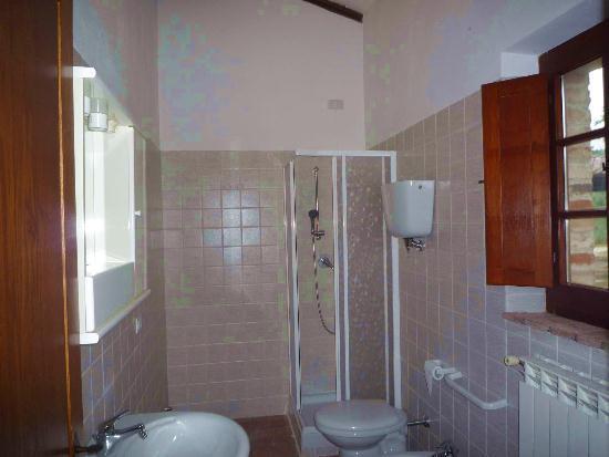 In appartamento in  Affitto  a Città della Pieve    65 mq  foto 8