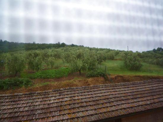 In appartamento in  Affitto  a Città della Pieve    65 mq  foto 9
