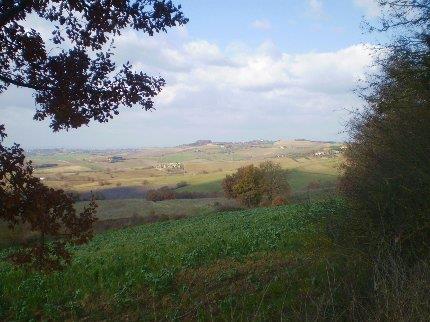 Terreno edificabile in  Vendita  a Castiglione del Lago    360 mq  foto 10