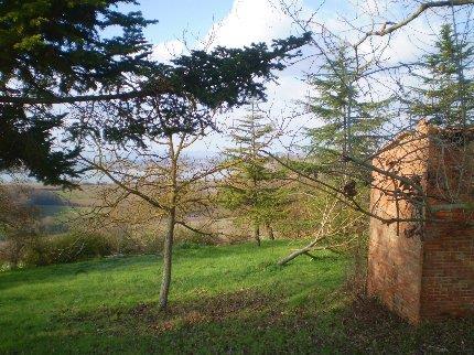 Terreno edificabile in  Vendita  a Castiglione del Lago    360 mq  foto 2