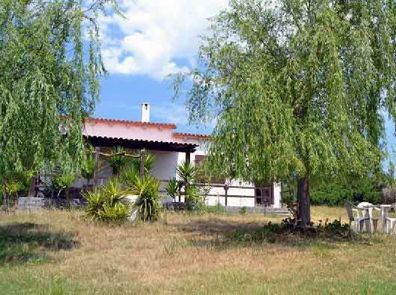 Casa singola in  Vendita  a Bortigiadas zona TISIENNARI  bilocale   60 mq  foto 3