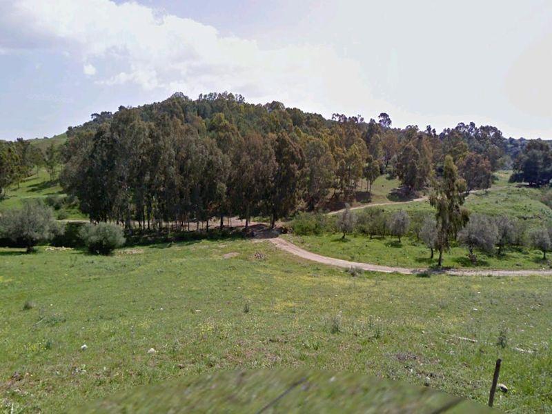 Terreno agricolo in  Vendita  a Misterbianco    220000 mq  foto 1