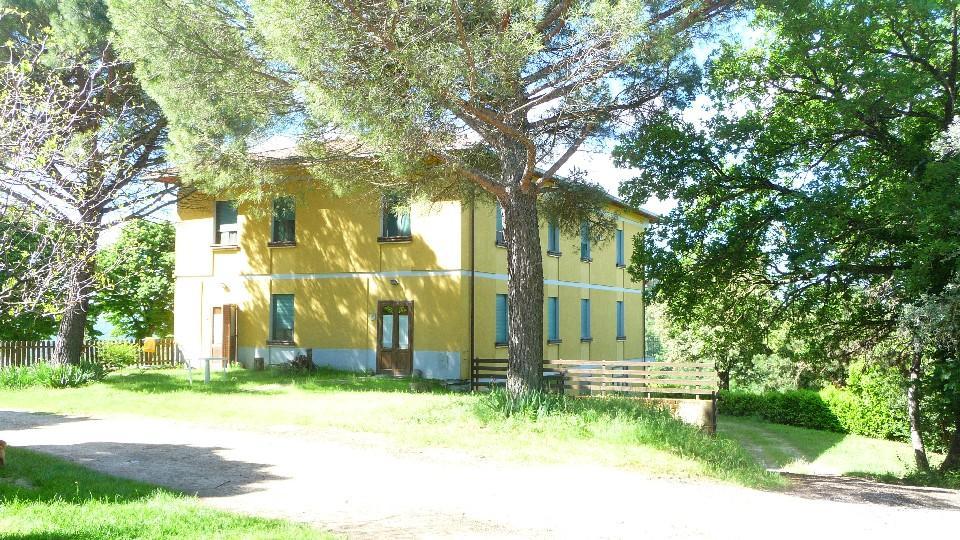 Azienda agricola in  Vendita  a Orvieto    1500 mq  foto 9