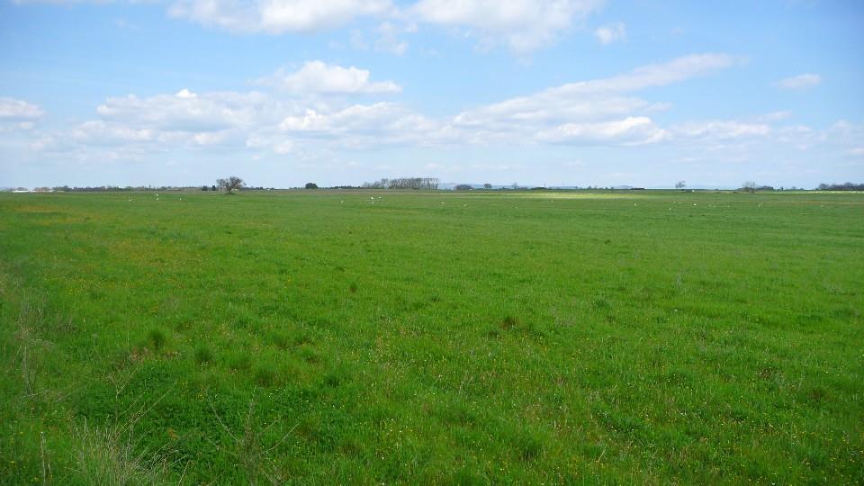 Azienda agricola in  Vendita  a Orvieto    700000 mq  foto 2