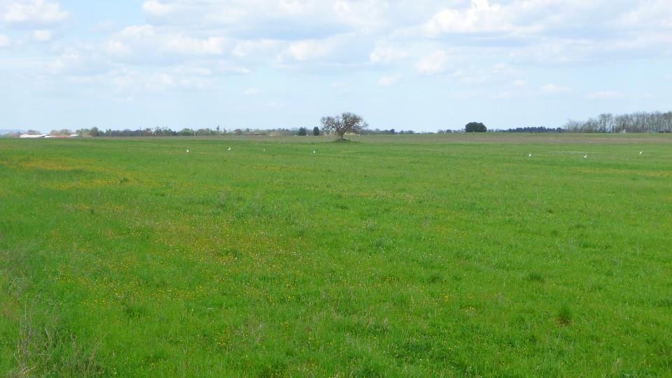 Azienda agricola in  Vendita  a Orvieto    700000 mq  foto 3