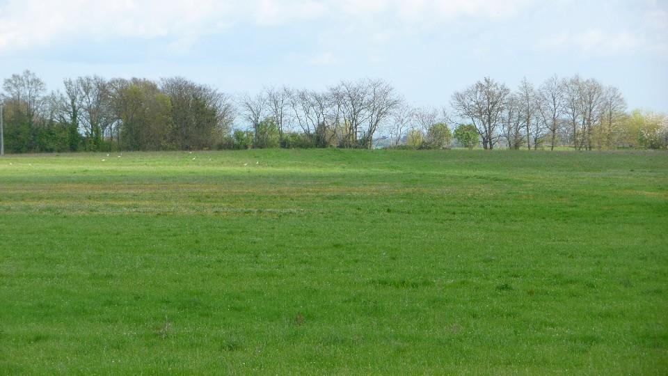 Azienda agricola in  Vendita  a Orvieto    700000 mq  foto 5