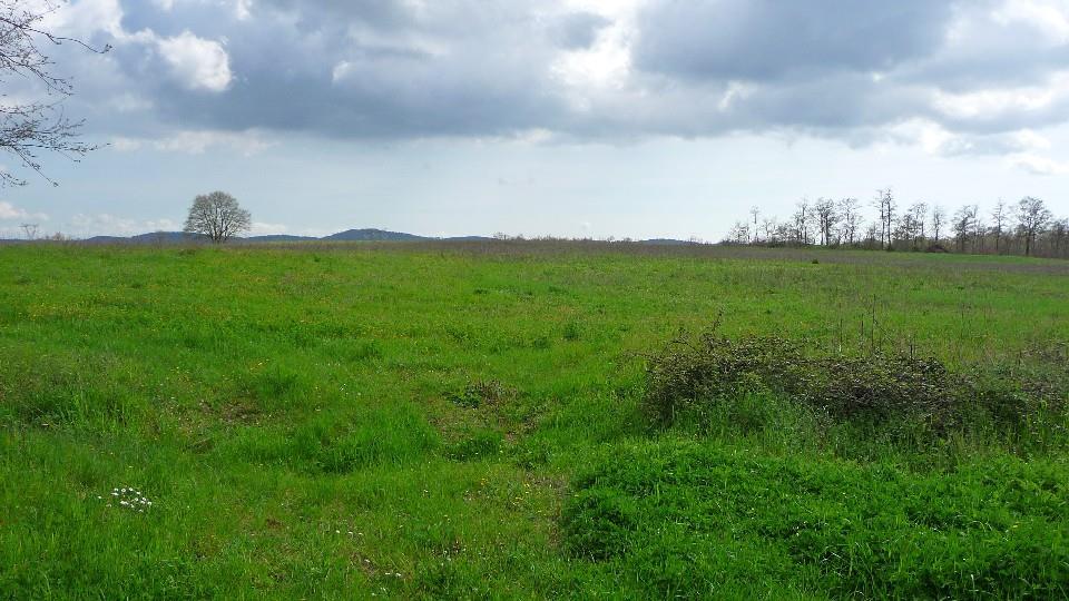 Azienda agricola in  Vendita  a Orvieto    700000 mq  foto 6