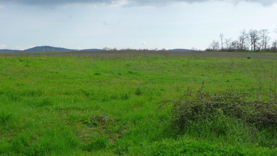 Azienda agricola in  Vendita  a Orvieto    700000 mq  foto 7