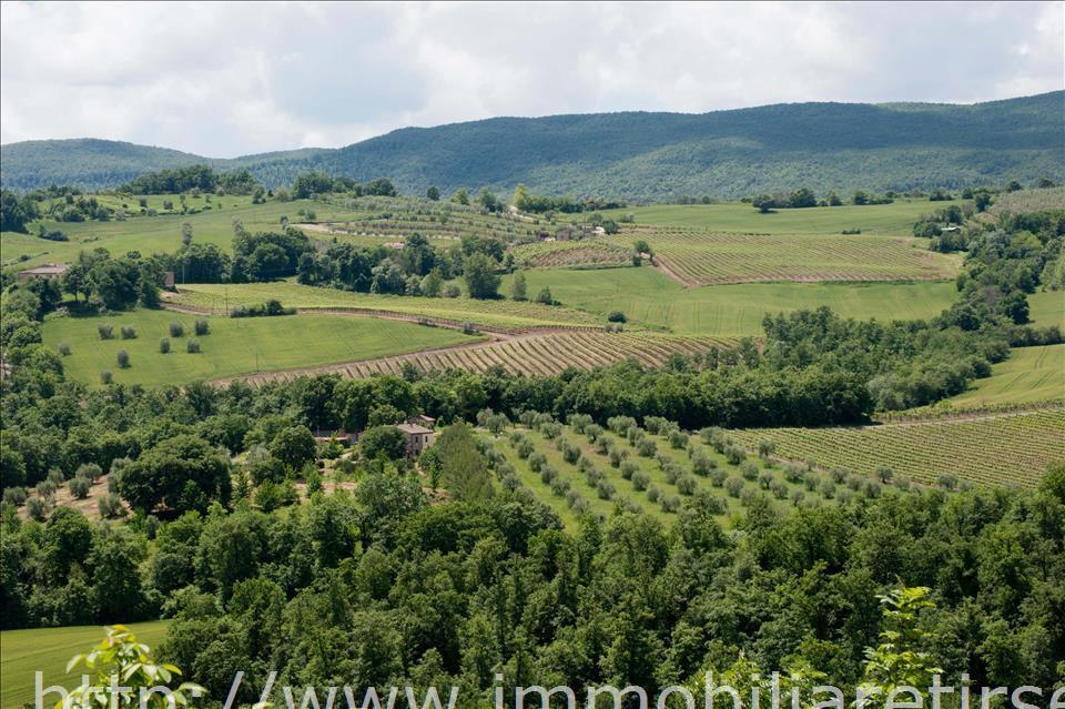 Casale  in  Vendita  a Orvieto   9 vani  230 mq  foto 8
