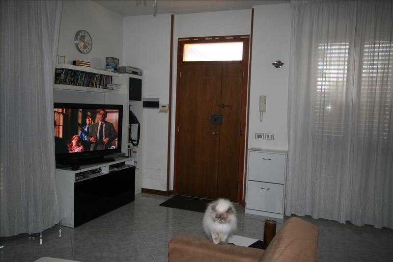 Appartamento in  Vendita  a Sinalunga   quadrilocale   80 mq  foto 3