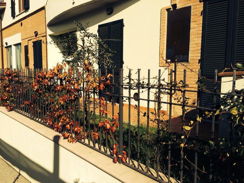 Appartamento in  Vendita  a Perugia   bilocale   45 mq  foto 3