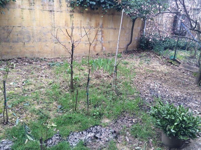 Appartamento in  Vendita  a Perugia   6 vani  230 mq  foto 8