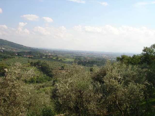 Casale  in  Vendita  a Monsummano Terme   5 vani  270 mq  foto 6