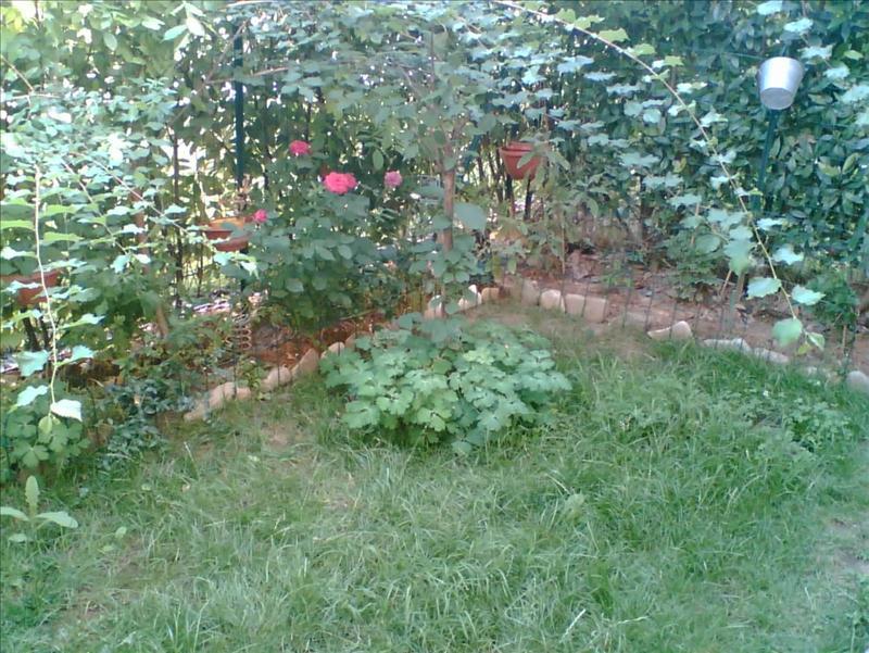 Appartamento in  Vendita  a Vigolzone   bilocale   60 mq  foto 2